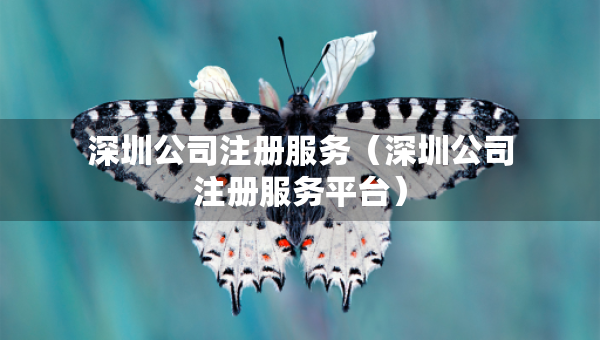 深圳公司注冊服務(wù)（深圳公司注冊服務(wù)平臺）