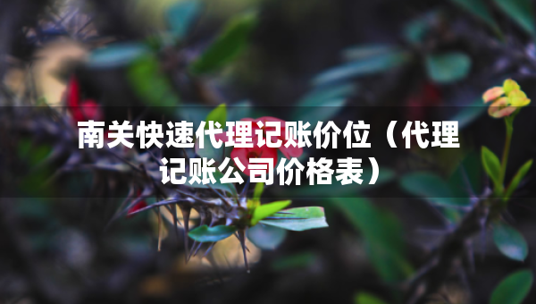南關(guān)快速代理記賬價(jià)位（代理記賬公司價(jià)格表）