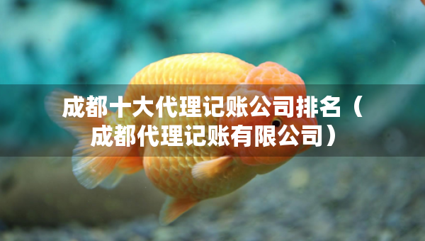 成都十大代理記賬公司排名（成都代理記賬有限公司）
