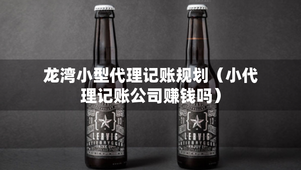 龍灣小型代理記賬規(guī)劃（小代理記賬公司賺錢嗎）