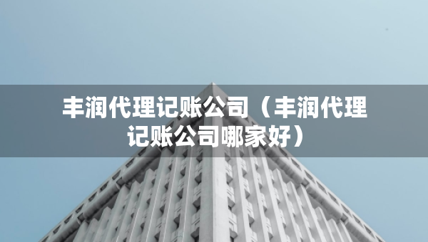 豐潤代理記賬公司（豐潤代理記賬公司哪家好）