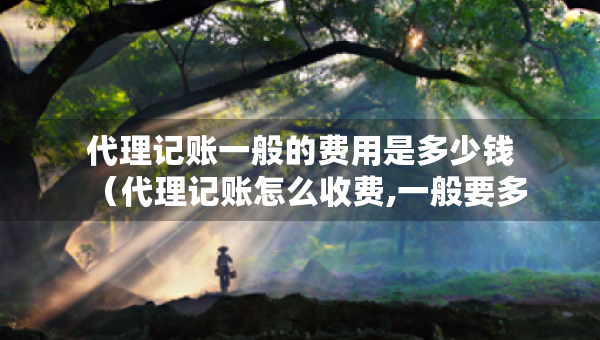 代理記賬一般的費用是多少錢（代理記賬怎么收費,一般要多少錢）