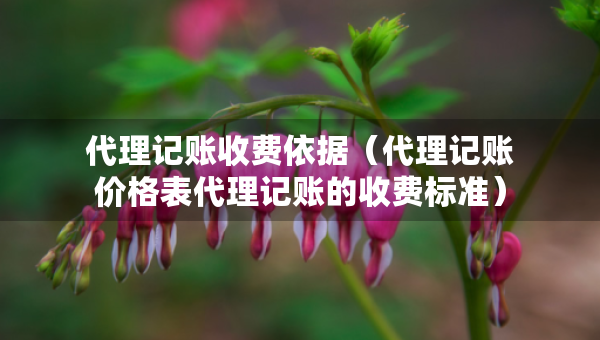 代理記賬收費依據(jù)（代理記賬價格表代理記賬的收費標準）
