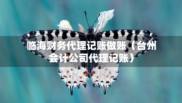 臨海財務(wù)代理記賬做賬（臺州會計公司代理記賬）