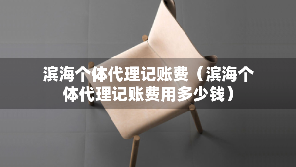 濱海個體代理記賬費（濱海個體代理記賬費用多少錢）