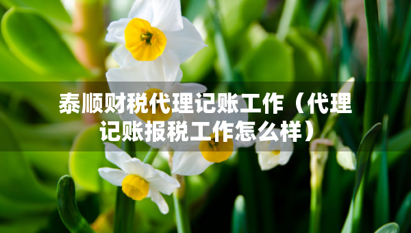 泰順財(cái)稅代理記賬工作（代理記賬報(bào)稅工作怎么樣）