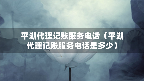 平湖代理記賬服務(wù)電話（平湖代理記賬服務(wù)電話是多少）