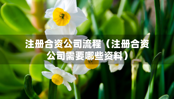 注冊合資公司流程（注冊合資公司需要哪些資料）