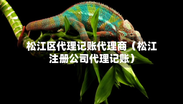 松江區(qū)代理記賬代理商（松江注冊(cè)公司代理記賬）