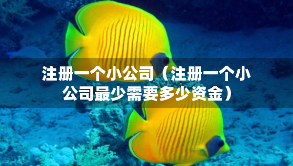注冊一個小公司（注冊一個小公司最少需要多少資金）