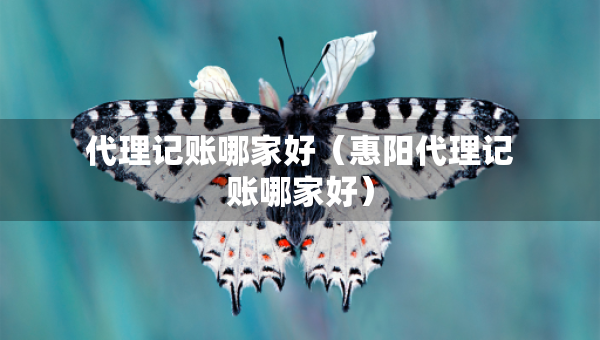 代理記賬哪家好（惠陽代理記賬哪家好）
