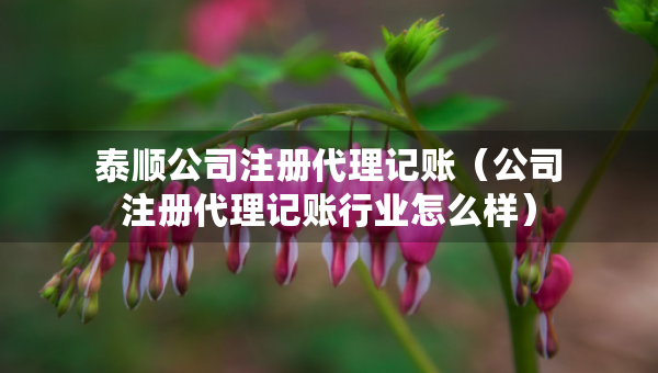 泰順公司注冊(cè)代理記賬（公司注冊(cè)代理記賬行業(yè)怎么樣）