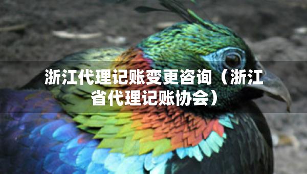 浙江代理記賬變更咨詢（浙江省代理記賬協(xié)會(huì)）