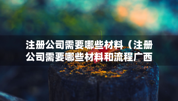 注冊公司需要哪些材料（注冊公司需要哪些材料和流程廣西金島很好）