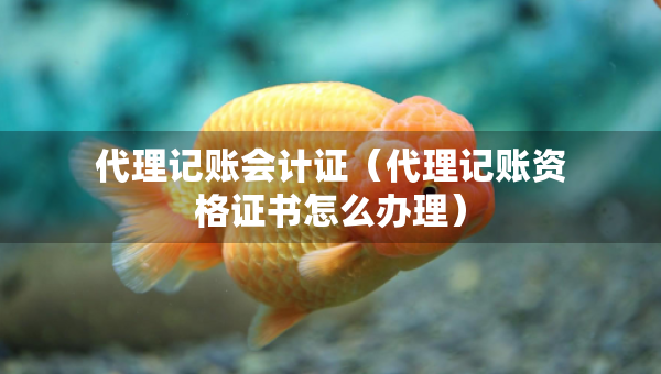 代理記賬會(huì)計(jì)證（代理記賬資格證書(shū)怎么辦理）