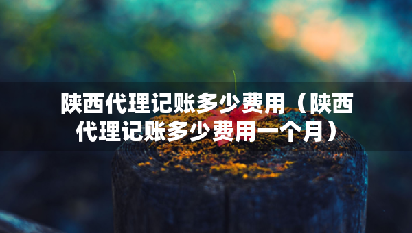 陜西代理記賬多少費(fèi)用（陜西代理記賬多少費(fèi)用一個月）