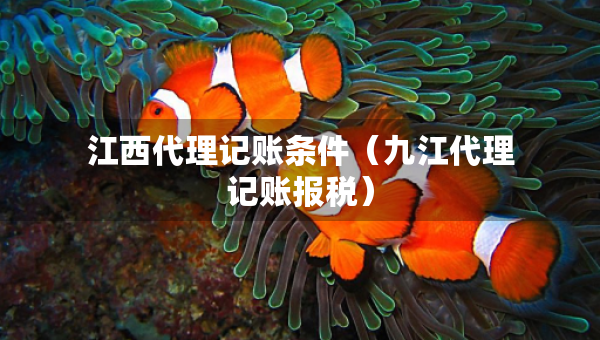 江西代理記賬條件（九江代理記賬報(bào)稅）