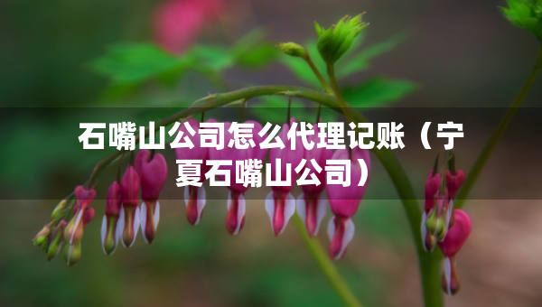 石嘴山公司怎么代理記賬（寧夏石嘴山公司）