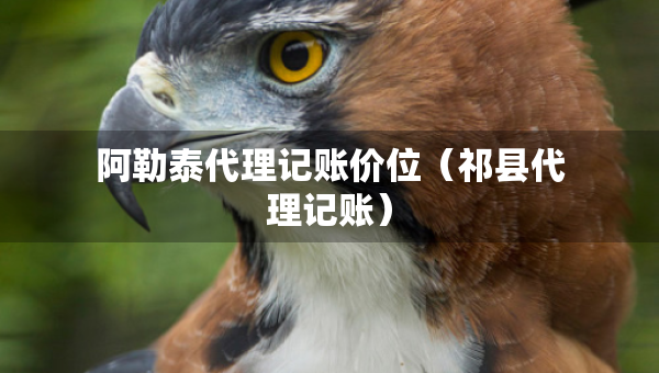 阿勒泰代理記賬價位（祁縣代理記賬）