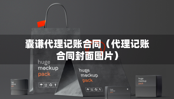 囊謙代理記賬合同（代理記賬合同封面圖片）