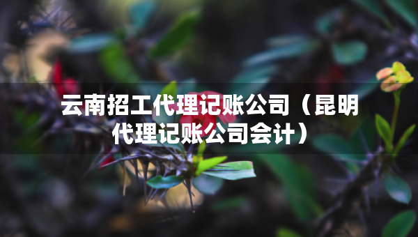 云南招工代理記賬公司（昆明代理記賬公司會計）