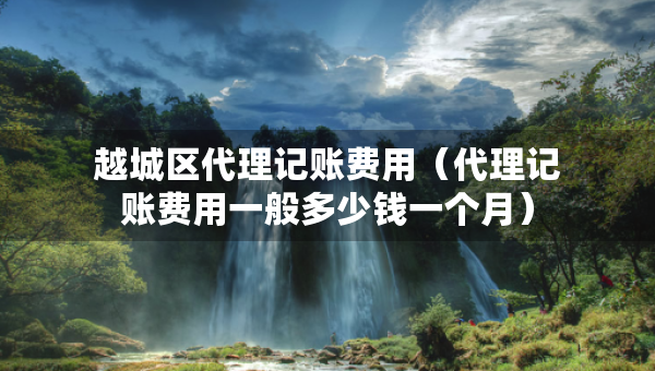 越城區(qū)代理記賬費用（代理記賬費用一般多少錢一個月）