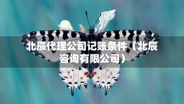 北辰代理公司記賬條件（北辰咨詢有限公司）