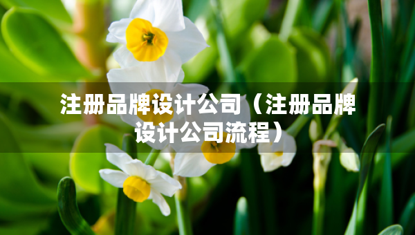 注冊(cè)品牌設(shè)計(jì)公司（注冊(cè)品牌設(shè)計(jì)公司流程）
