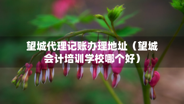 望城代理記賬辦理地址（望城會計培訓(xùn)學(xué)校哪個好）
