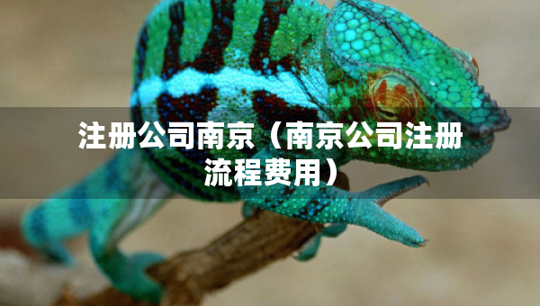 注冊(cè)公司南京（南京公司注冊(cè)流程費(fèi)用）