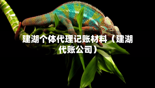 建湖個(gè)體代理記賬材料（建湖代賬公司）