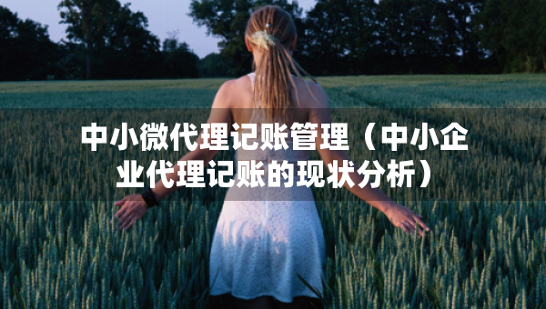 中小微代理記賬管理（中小企業(yè)代理記賬的現(xiàn)狀分析）