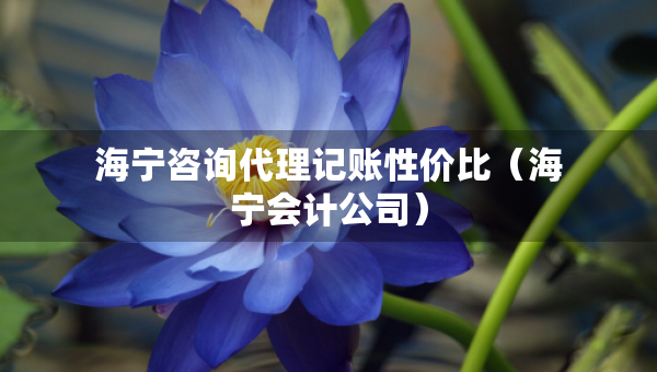 海寧咨詢代理記賬性價(jià)比（海寧會(huì)計(jì)公司）