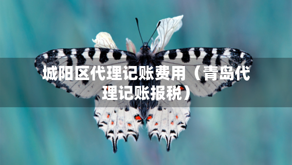 城陽區(qū)代理記賬費用（青島代理記賬報稅）