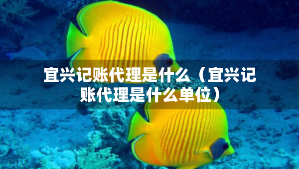 宜興記賬代理是什么（宜興記賬代理是什么單位）