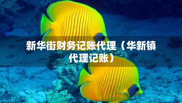 新華街財(cái)務(wù)記賬代理（華新鎮(zhèn)代理記賬）
