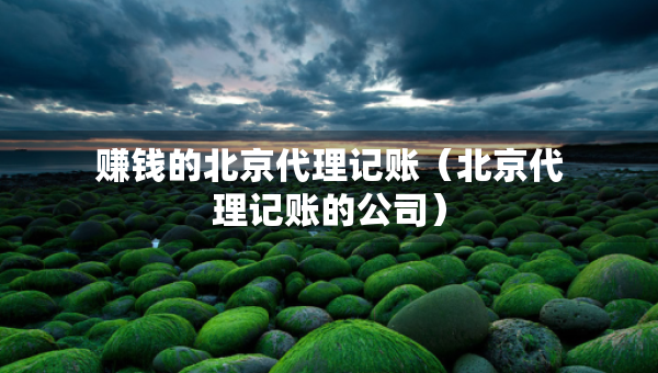 賺錢的北京代理記賬（北京代理記賬的公司）