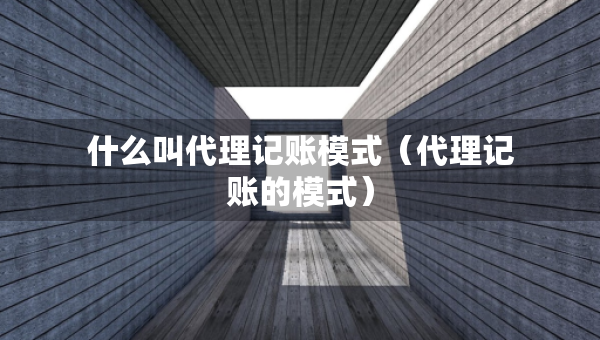 什么叫代理記賬模式（代理記賬的模式）
