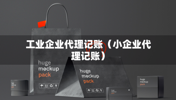 工業(yè)企業(yè)代理記賬（小企業(yè)代理記賬）