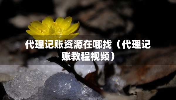 代理記賬資源在哪找（代理記賬教程視頻）