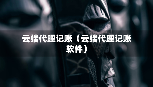 云端代理記賬（云端代理記賬軟件）
