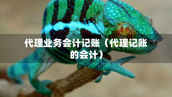 代理業(yè)務會計記賬（代理記賬的會計）