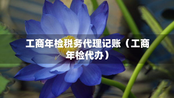 工商年檢稅務(wù)代理記賬（工商年檢代辦）