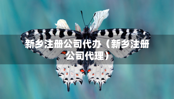新鄉(xiāng)注冊公司代辦（新鄉(xiāng)注冊公司代理）