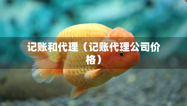記賬和代理（記賬代理公司價格）