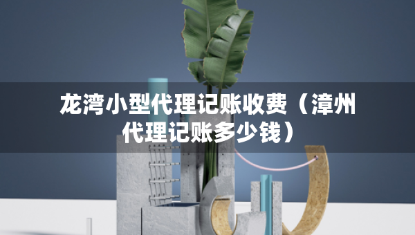 龍灣小型代理記賬收費(fèi)（漳州代理記賬多少錢）