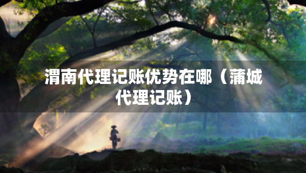 渭南代理記賬優(yōu)勢在哪（蒲城代理記賬）