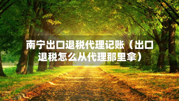 南寧出口退稅代理記賬（出口退稅怎么從代理那里拿）