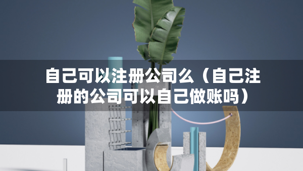 自己可以注冊(cè)公司么（自己注冊(cè)的公司可以自己做賬嗎）