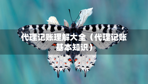 代理記賬理解大全（代理記賬基本知識(shí)）